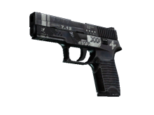P250 | Re.built