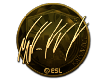 NAF | Katowice 2019