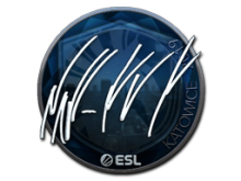 NAF | Katowice 2019