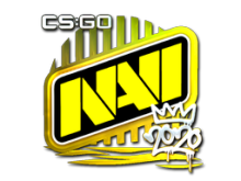 Natus Vincere | 2020 RMR
