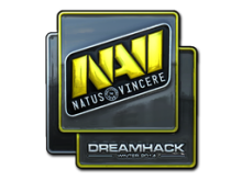 Natus Vincere | DreamHack 2014