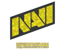 Natus Vincere | Copenhagen 2024