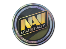 Natus Vincere | Cologne 2014