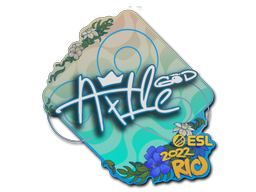 印花 | Ax1Le | 2022年里约热内卢锦标赛