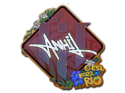 印花 | ANNIHILATION（闪耀）| 2022年里约热内卢锦标赛