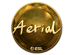 印花 | Aerial（金色）| 2019年卡托维兹锦标赛