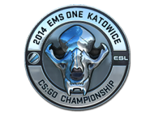 ESL Skull | Katowice 2014