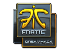 Fnatic | DreamHack 2014