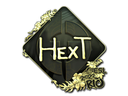 印花 | HexT（金色）| 2022年里约热内卢锦标赛