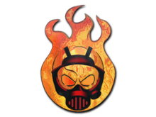Incineration