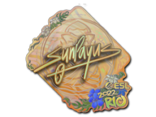 SunPayus | Rio 2022