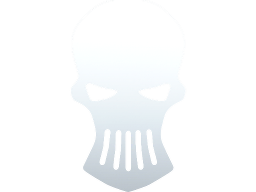 印花 | Silver Skulls