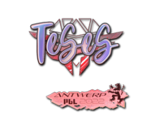 TeSeS | Antwerp 2022