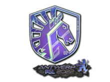Team Liquid | Antwerp 2022