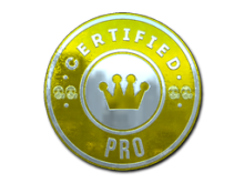 The Pro