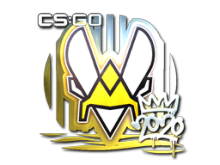 Vitality | 2020 RMR