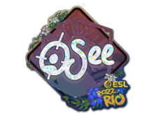 oSee | Rio 2022