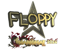 floppy | Shanghai 2024