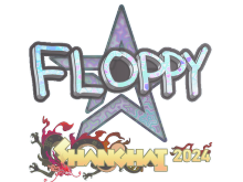 floppy | Shanghai 2024