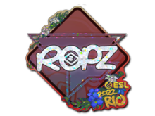 ropz | Rio 2022