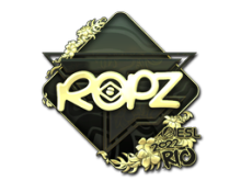 ropz | Rio 2022
