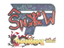snow | Shanghai 2024