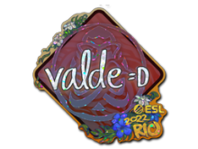 v4lde | Rio 2022