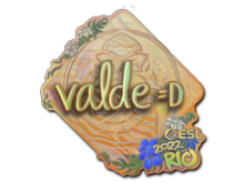 v4lde | Rio 2022