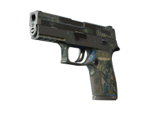 P250 | Exchanger