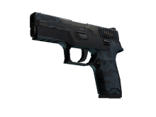 P250 | Forest Night