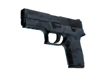 P250 | Forest Night