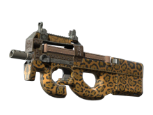 P90 | Run and Hide