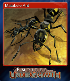 Matabele Ant (集换式卡牌)