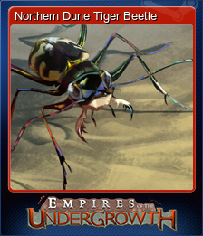 Northern Dune Tiger Beetle