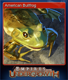 American Bullfrog