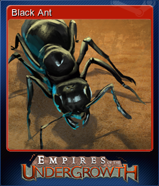 Black Ant